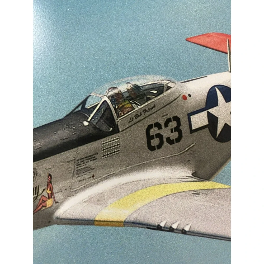 P-51 Mustang 14